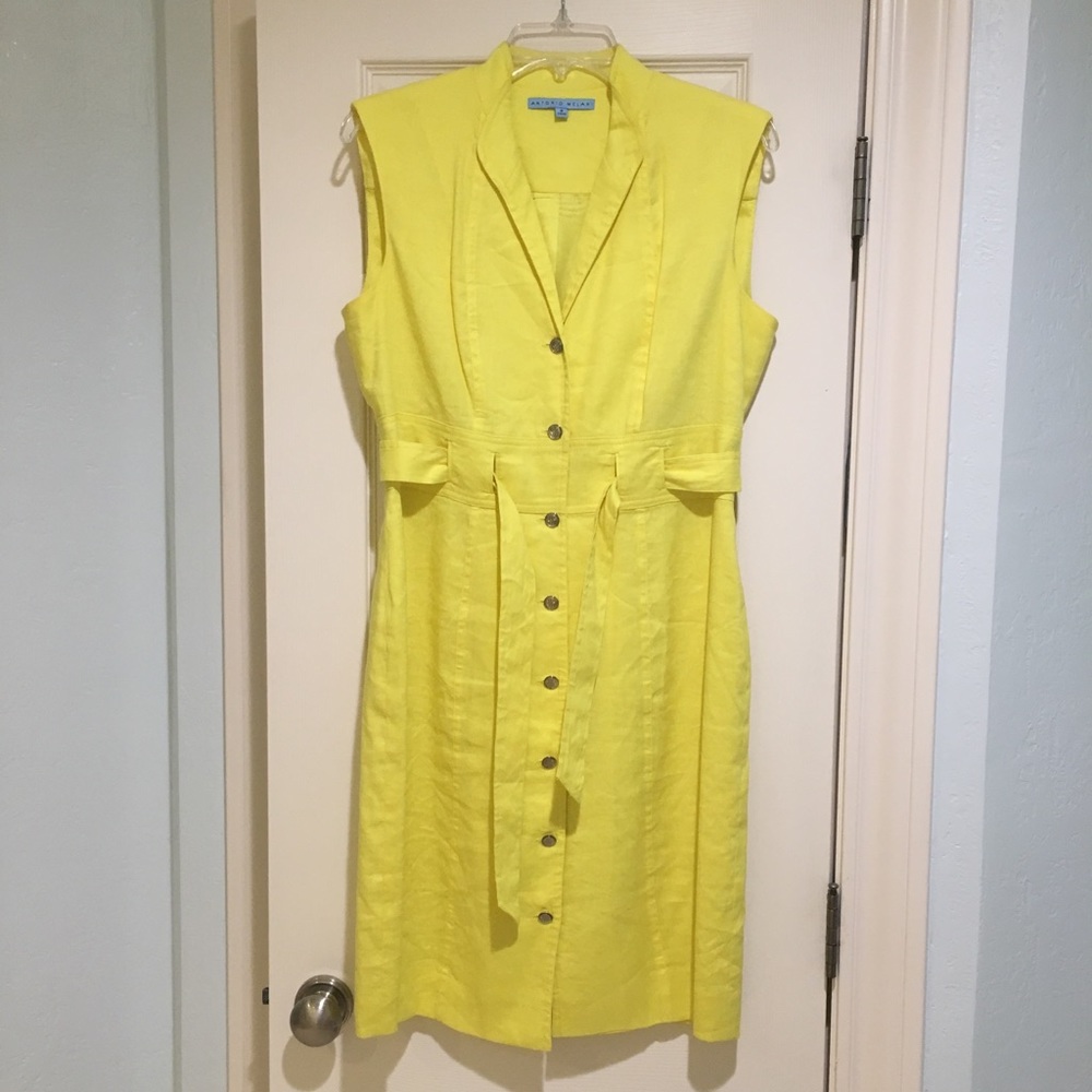 Antonio Melani dress